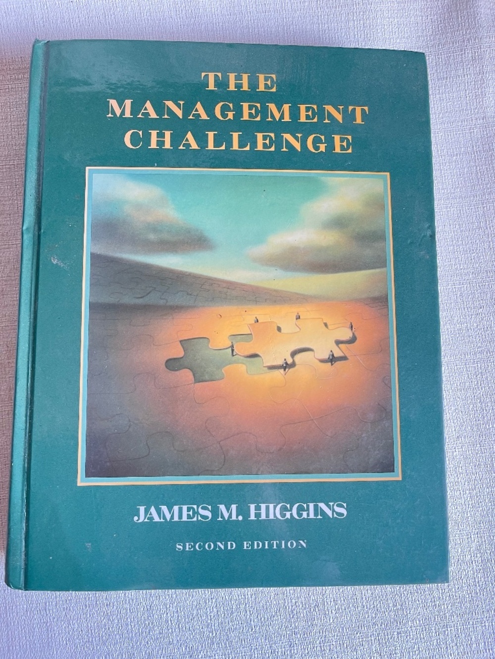 The Management Challenge by James M. Higgins - Teal Hardcover